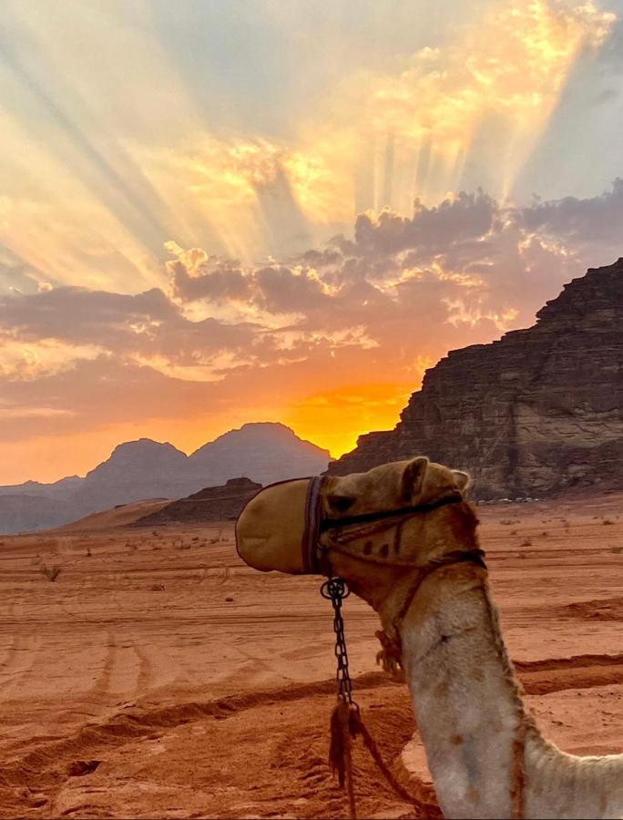 Rum Arjaan Luxury Camp Wadi Rum Zewnętrze zdjęcie